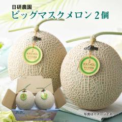 ������ �r�b�O�}�X�N�������Q�� �䒆�� �ăM�t�g �M�t�g ���� ��������