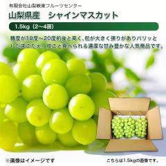 �R�����Y �V���C���}�X�J�b�g
