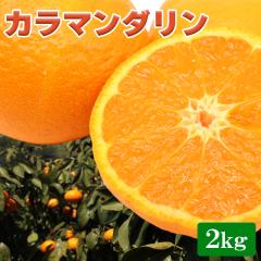 �J���}���_�����Q����