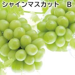 �V���C���}�X�J�b�g �a ��������