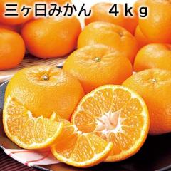 �O�����݂��� �S���� ��������