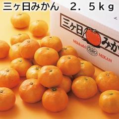 �O�����݂��� �Q�D�T���� ��������