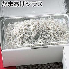 ���܂����V���X ��������