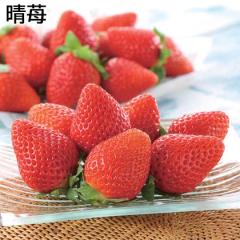 ��� ��������