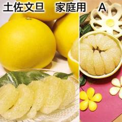 �y�����U �ƒ�p �` ��������