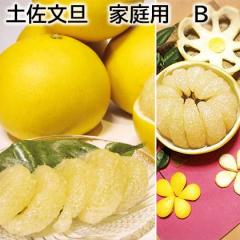 �y�����U �ƒ�p �a ��������