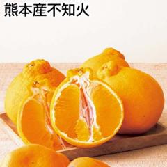 �F�{�Y�s�m�� ��������