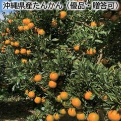 ���ꌧ�Y���񂩂�i�D�i�E�����j ��������