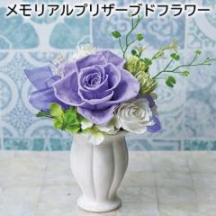 �������A���v���U�[�u�h�t�����[ ��������