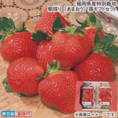 Ε Yʍ͔| ̂u܂v䕃MtgZbg ~Mtg 