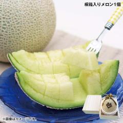 ���Ε� �˔����胁�����P�� ��������