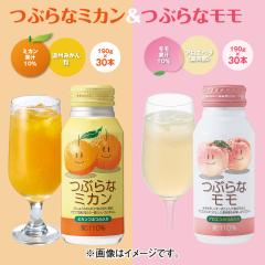 Ԃȃ~JԂȃ  hN  ݕ W[X