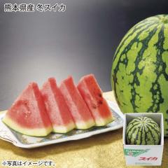 �F�{���Y �~�X�C�J ��������