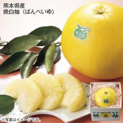 �F�{���Y �Ӕ��M ��������