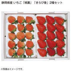 �É����Y �������u���O�v�u����ҍ��v�Q��Z�b�g ��������