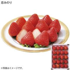 ���݂̂� ��������