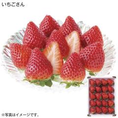 ���������� ��������