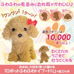 ���{�b�g �������� �� �ʂ������ ���K���� ���͂Ȃ���D���I�̂��ėx���u���{�b�g�ӂ�ӂ�g�C�v�[�h���v+�P�O4�{