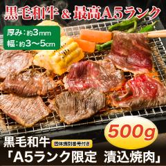 �H�i ���� �ē�  ���K���� ���јa���uA5�����N����@�Ѝ��ē��v500g