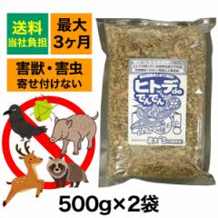 ������ �Q�b �Q�� ����΍� �q�g�fde�ł�ł�2�܁@�ЂƂ� �J���X �C�m�V�V ��ǔL ���O�� �� �n�N�r�V��