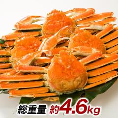 4.6kg �Y���C�K�j ���킢���� �Y���C�K�j�p ���킢�p �J�j�p �Y���C�K�j���X �{�C���Y���C ���킢�I �����k�C���Y�{�C���I�I�Y���C�K�j�p