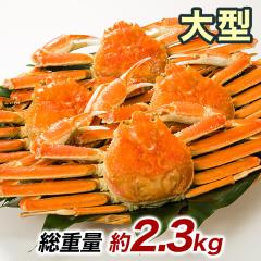 2.3kg �Y���C�K�j ���킢���� �Y���C�K�j�p ���킢�p �J�j�p �Y���C�K�j���X �{�C���Y���C ���킢�I ��^�k�C���Y�{�C���I�I�Y���C�K�j�p