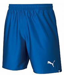 �v�[�} PUMA �T�b�J�[ LIGA �Q�[���p���c �R�A �����Y �j�� �t�b�g�T�� �n�[�t�p���c ���Y�{�� �V���[�g�p���c �z������ �h���C ���� ��