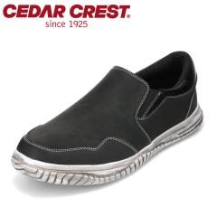 Xj[J[ Y Xb| h J̓ S EȒP [Yh CEDAR CREST CC-1231