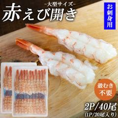 y|Cg5{z Gr Ԃ A[`Gr GrJ  2P 20 (1P/20)  ^TCY ԊCV CN il^ 