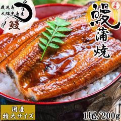 Ȃ Y Ȃ  1 200g  Ă  ^t YȂ Ȃ EiM V ypN N̓  Ε Mt