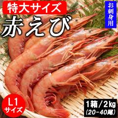 y|Cg5{zԃGr Ԃ ԊCV 2kg (1/20-40)  TCY L1TCY A[`Gr ^Gr LGr  Gr 