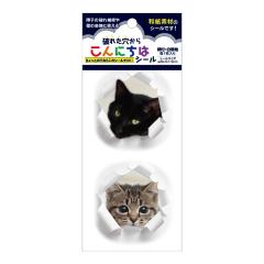 SOJS064�@�j�ꂽ���V�[���E�˂�