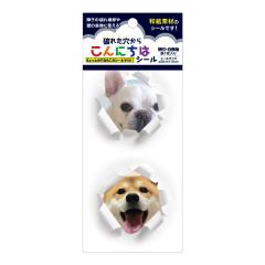 SOJS065�@�j�ꂽ���V�[���E����