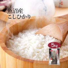 �������܈� �ߘa7�N�Y �V���� �����Y �R�V�q�J�� 5kg ���� �������� ���Y�� ����