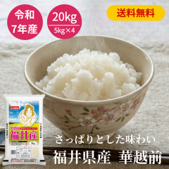 �ߘa7�N�Y ���䌧�Y �؉z�O 20kg ���� �������� ���Y�� ���� �������܈�