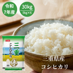 �ߘa7�N�Y �O�d�� �R�V�q�J�� 30kg ���� �������� ���Y�� ���� �������܈�