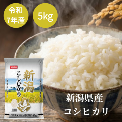 �ߘa7�N�Y �V�����Y �R�V�q�J�� 5kg ���� �������� ���Y�� ���� �������܈� 