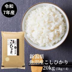 �ߘa7�N�Y �V���� �����Y �R�V�q�J�� 20kg ������ �������� ���Y�� ���� �������܈�