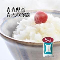 �������܈� �ߘa7�N�Y �X���Y �V������ 5kg ���� �������� ���Y�� ����