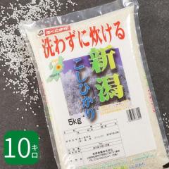 �������܈� �ߘa7�N�Y �V�����Y �R�V�q�J�� 10kg ������ �������� ���Y�� ����