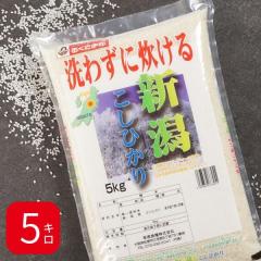 �������܈� �ߘa7�N�Y �V�����Y �R�V�q�J�� 5kg ������ �������� ���Y�� ����