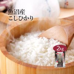 �������܈� �ߘa7�N�Y �V���� �����Y �R�V�q�J�� 2kg ���� �������� ���Y�� ����