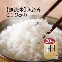 �������܈� �ߘa7�N�Y �V���� �����Y �R�V�q�J�� 20kg ������ �������� ���Y�� ����