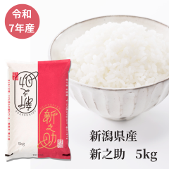 �ߘa7�N�Y �V�����Y �V�V�� 5kg �u�����h�� ���� �������܈�