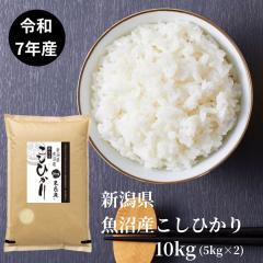 �ߘa7�N�Y �V���� �����Y �R�V�q�J�� 10kg ������ �������� ���Y�� ���� �������܈�