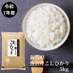 ��̓� �ߘa7�N�Y �V���� �����Y �R�V�q�J�� 5kg ������ �������� ���Y�� ���� �������܈�