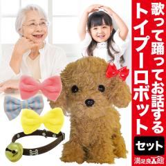 �y���Ԍ���^�C���Z�[�����z���b���g�C�v�[�h�� �t���Z�b�g �̂��ėx��� �v�[�h�� ���{�b�g�g�C�v�[�h�� �ʂ������ �x�� �I���`�� ����