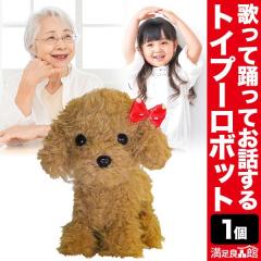 �y���Ԍ���^�C���Z�[�����z���b���g�C�v�[�h�� �̂��ėx��� �v�[�h�� ���{�b�g�g�C�v�[�h�� �ʂ������ �x�� �I���`�� �����Ǖi�� �S��