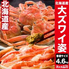 �y���l�����N�[�|���z�z���z4.6kg ���ʃT�C�Y �k�C���Y�I�I�Y���C�K�j�p(�{�C����) �Y���C ���킢 ���킢���� �Y���C�K�j �Y���C�I ����