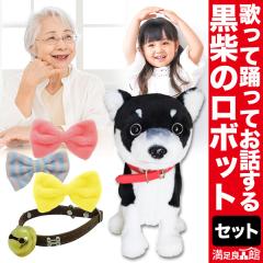  �A�N�Z�T���[�Z�b�g�t ���{�b�g���ăh�b�O �̂��ėx��� ���� ���{�b�g ��񂿂�� �Č� ���F�B �q�� ���N��� �����Ǖi�� �S����������